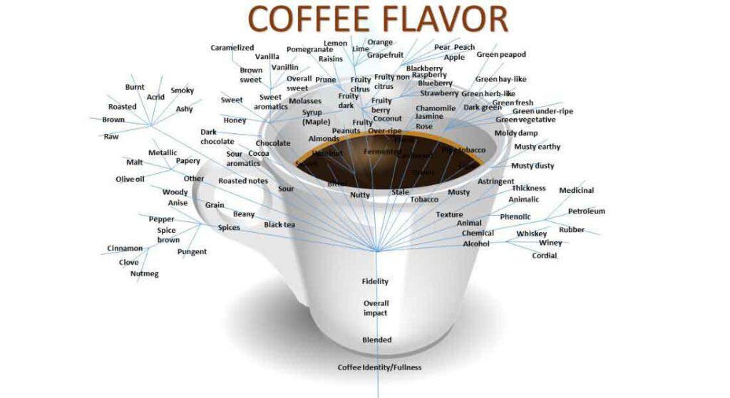 Věda o degustaci kávy: Pochopení chutí a vůní