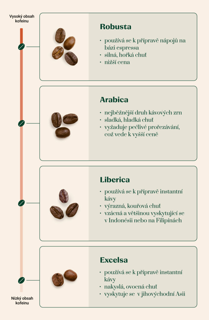 Druhy kávových zrn a jejich chuťové profily